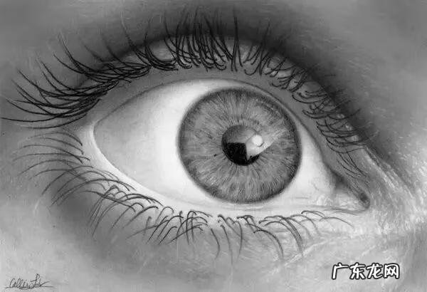 新手怎么画眉毛 眉毛怎么画素描