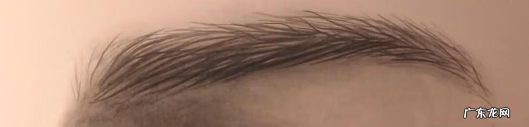 新手怎么画眉毛 眉毛怎么画素描