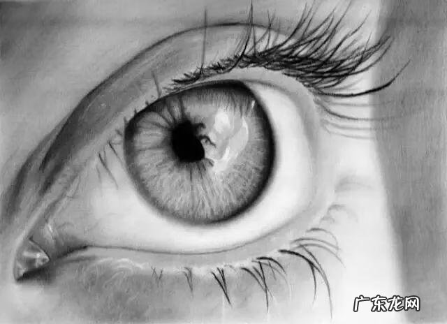 新手怎么画眉毛 眉毛怎么画素描