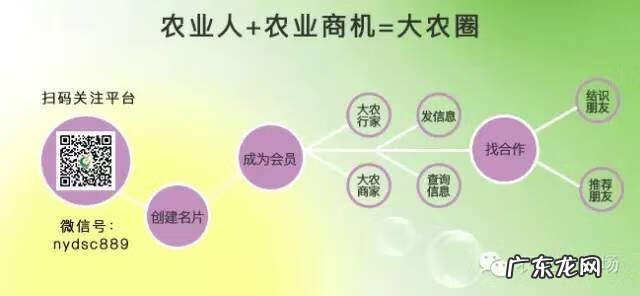 农业种植致富项目 农业发家致富项目