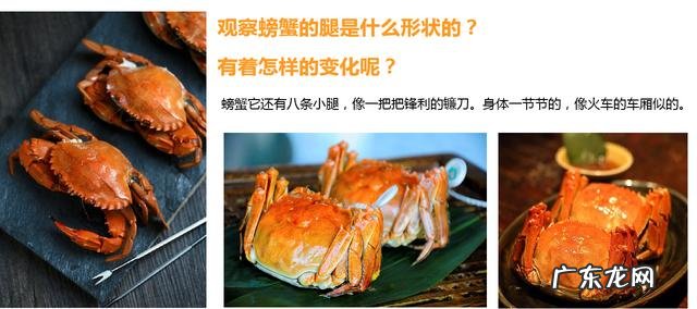 二年级上册秋天的图画 二年级秋天的图画大全