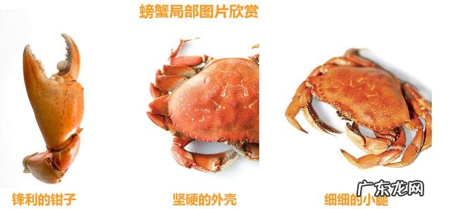 二年级上册秋天的图画 二年级秋天的图画大全