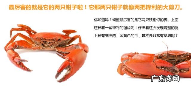 二年级上册秋天的图画 二年级秋天的图画大全