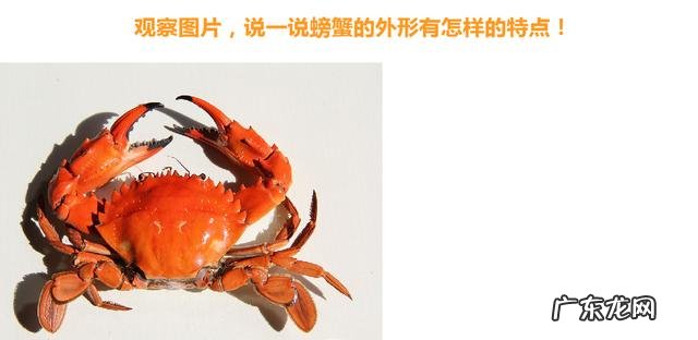 二年级上册秋天的图画 二年级秋天的图画大全