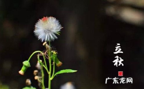 入秋后雨水多意味什么 立秋前后雨水多吗