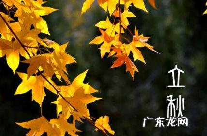 入秋后雨水多意味什么 立秋前后雨水多吗