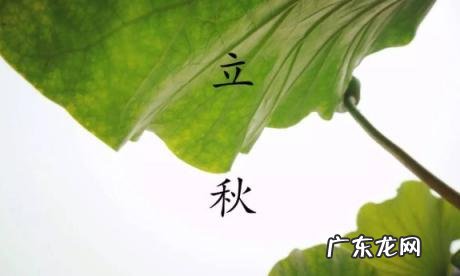 哪天立秋2021年头伏 2021立秋后三伏还有几天