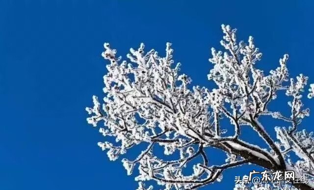 我叫mt雪歌曲 我叫什么雪