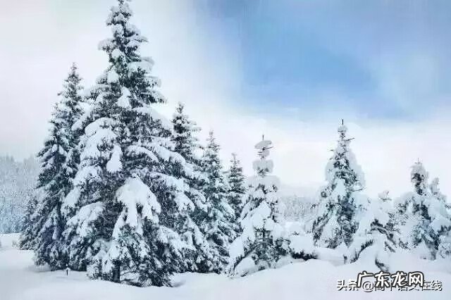 我叫mt雪歌曲 我叫什么雪