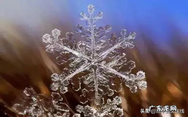 我叫mt雪歌曲 我叫什么雪
