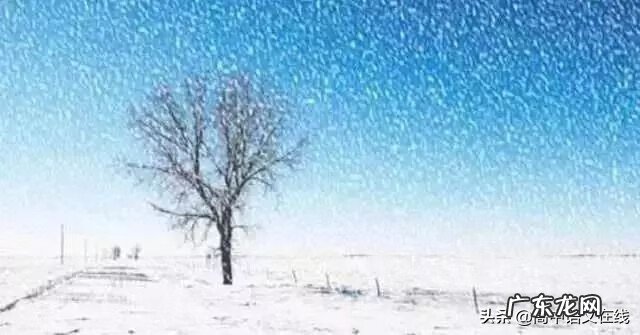 我叫mt雪歌曲 我叫什么雪