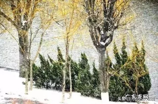 我叫mt雪歌曲 我叫什么雪