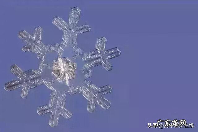 我叫mt雪歌曲 我叫什么雪