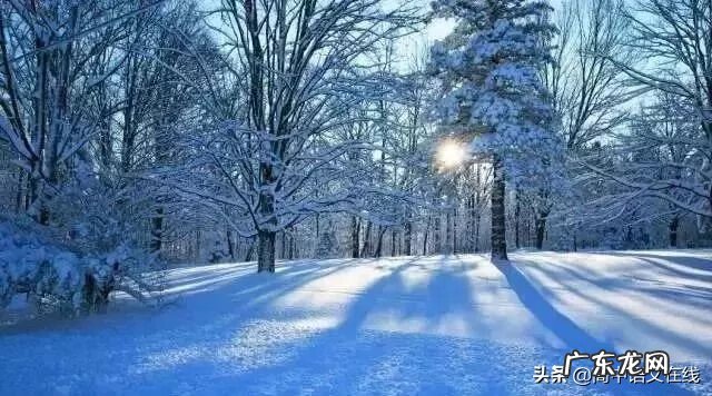 我叫mt雪歌曲 我叫什么雪