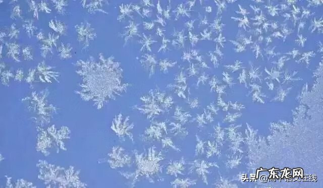 我叫mt雪歌曲 我叫什么雪
