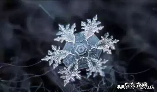 我叫mt雪歌曲 我叫什么雪
