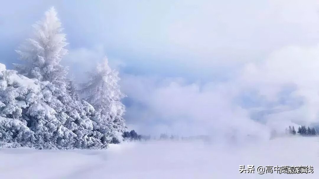 我叫mt雪歌曲 我叫什么雪