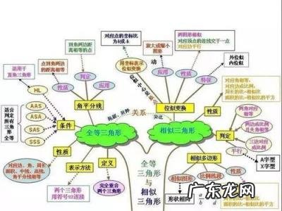 三年级数学第二单元思维导图内容下册 三年级数学第二单元思维导图怎么画上册