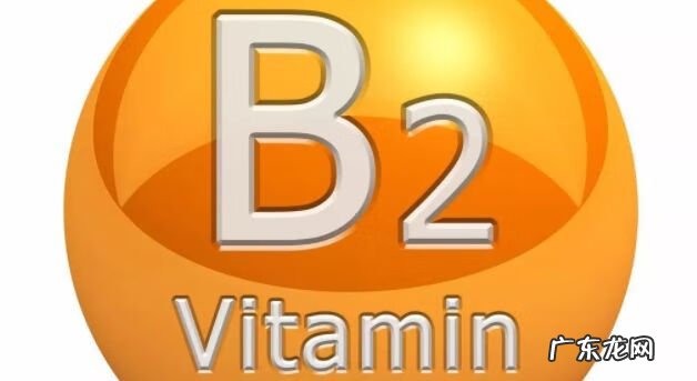 维生素b2的作用和功效说明书 维生素b2功能与作用用量