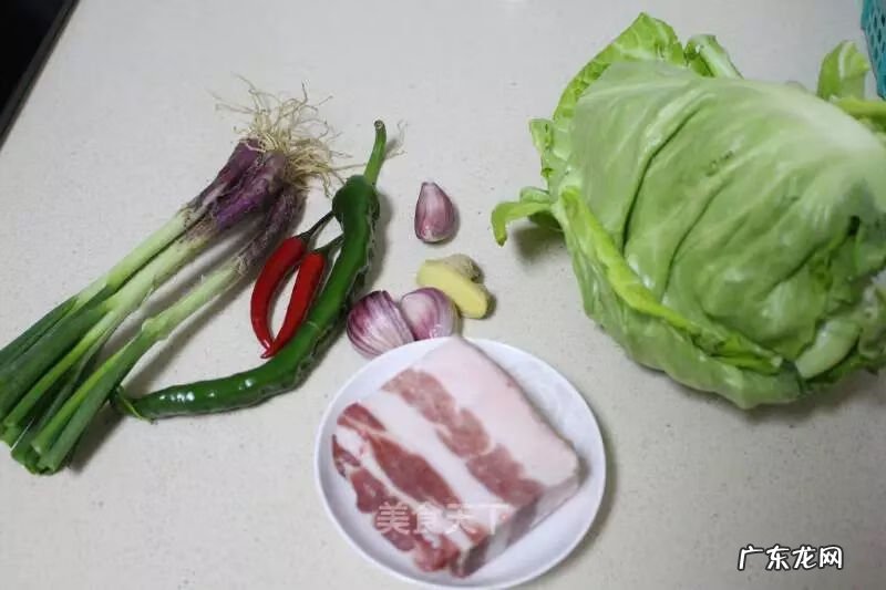 圆白菜的简单做法 圆白菜的做法大全