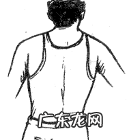 风水龟背图案有什么说法 风水学龟背是什么意思