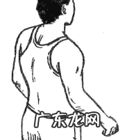 风水龟背图案有什么说法 风水学龟背是什么意思