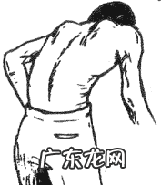 风水龟背图案有什么说法 风水学龟背是什么意思