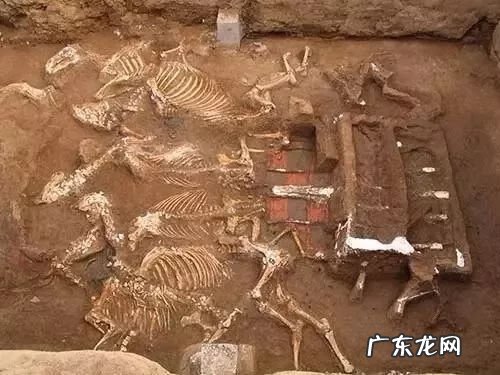 广西容县十大风水宝地故事 容县清华大学风水宝地