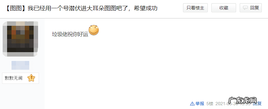大耳朵图图高清迅雷下载 大耳朵图图 下载