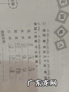 雹字组词 淘字组词和拼音