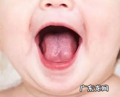 菊花晶有什么功效 菊花晶有用吗