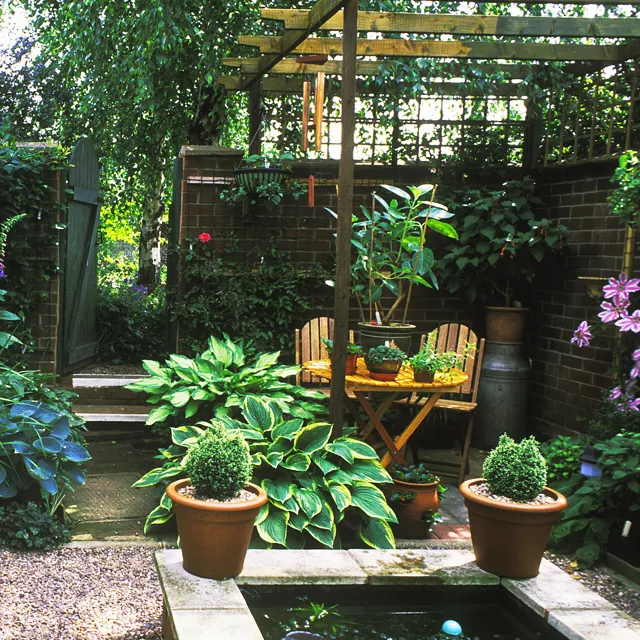 一楼带院子的户型图 一楼带小院风水