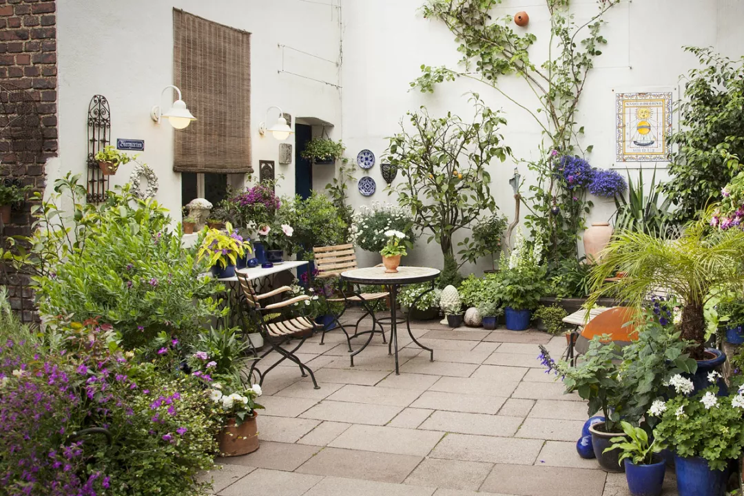 一楼带院子的户型图 一楼带小院风水