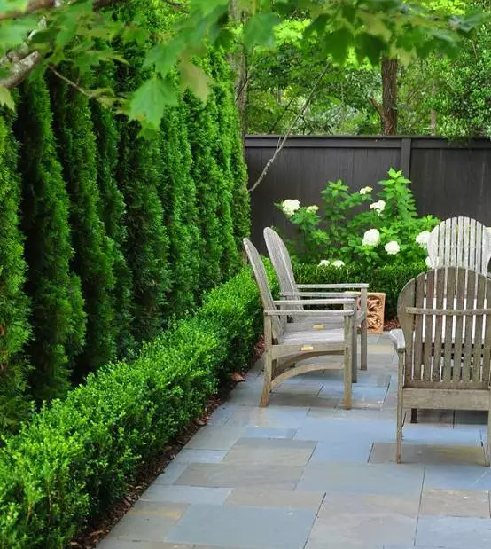 一楼带院子的户型图 一楼带小院风水