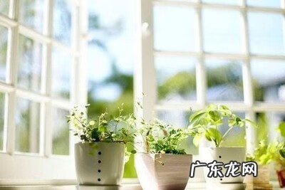 一楼窗户下面被别人放杂物 窗台堆放杂物影响风水吗