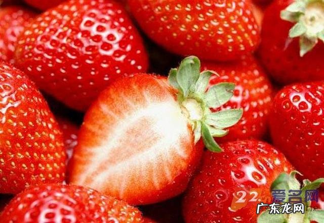 草莓英语怎么写 草莓英文名