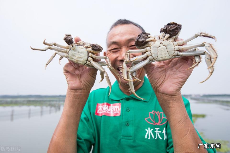 三门青蟹什么时候最肥最好吃 蟹什么时候最肥美