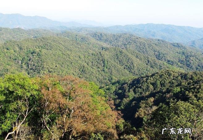 春节自驾游最佳去处 春节自驾游去哪里好玩