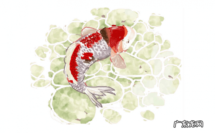 庭院水景风水 家装室内水景风水