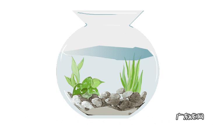 庭院水景风水 家装室内水景风水