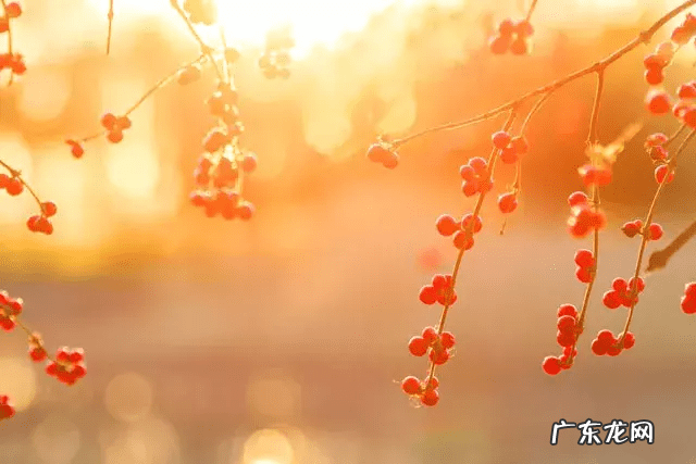 每个人身上的三大风水 人有三处风水,养好就是富贵