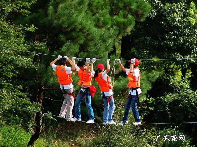 附近拓展训练基地 黄埔青少年训练基地