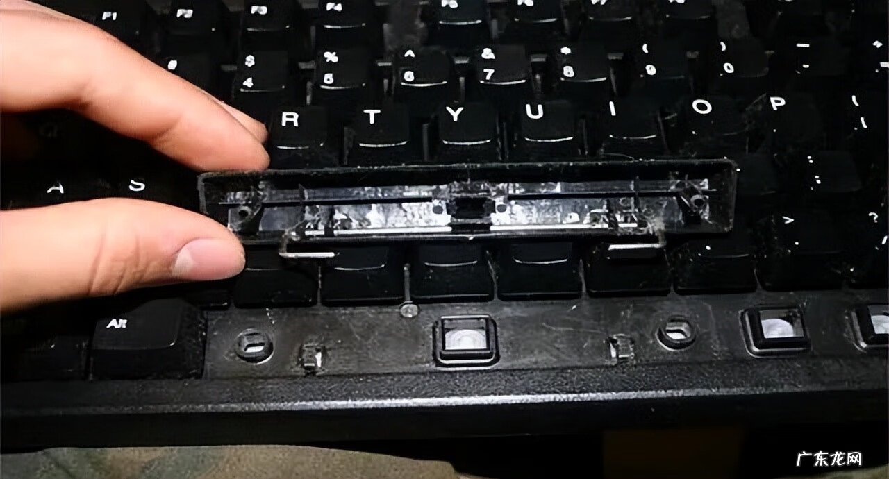 劲舞团宠物怎么改名 劲舞团能改名字吗