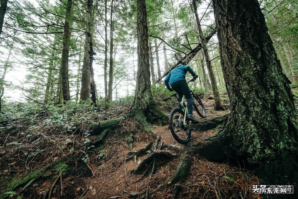 电动摩托车 山地摩托车
