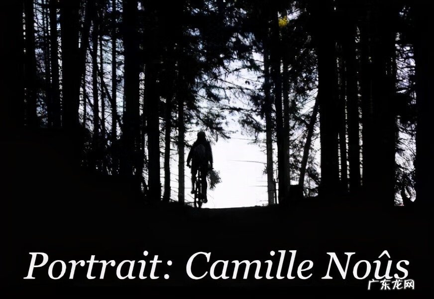 诺多noldo 诺多斯