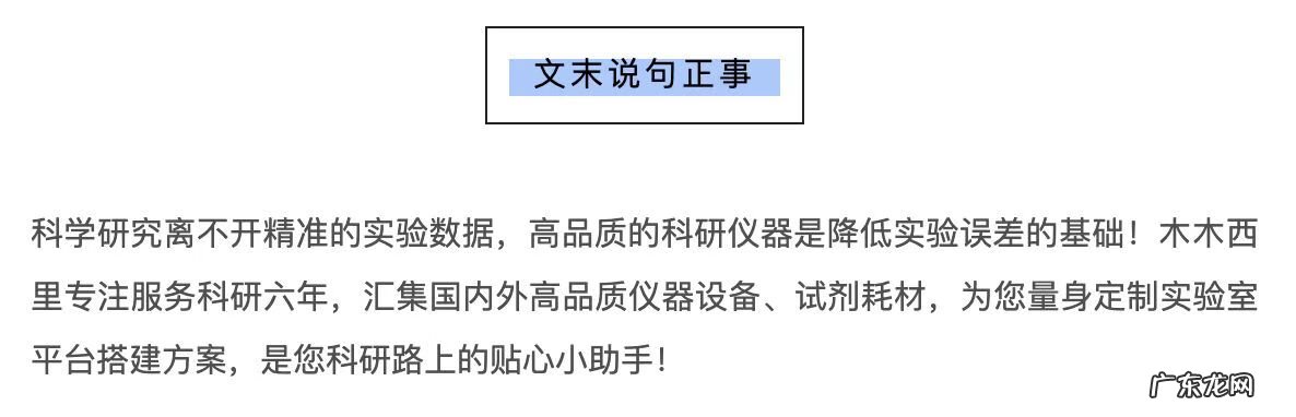 诺多noldo 诺多斯