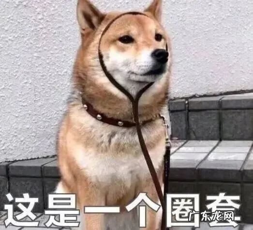 支付宝里面不可用余额是什么意思 支付宝上不可用余额是什么意思