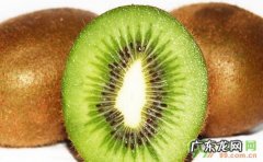 猕猴桃有什么功效与作用 猕猴桃的作用和疗效