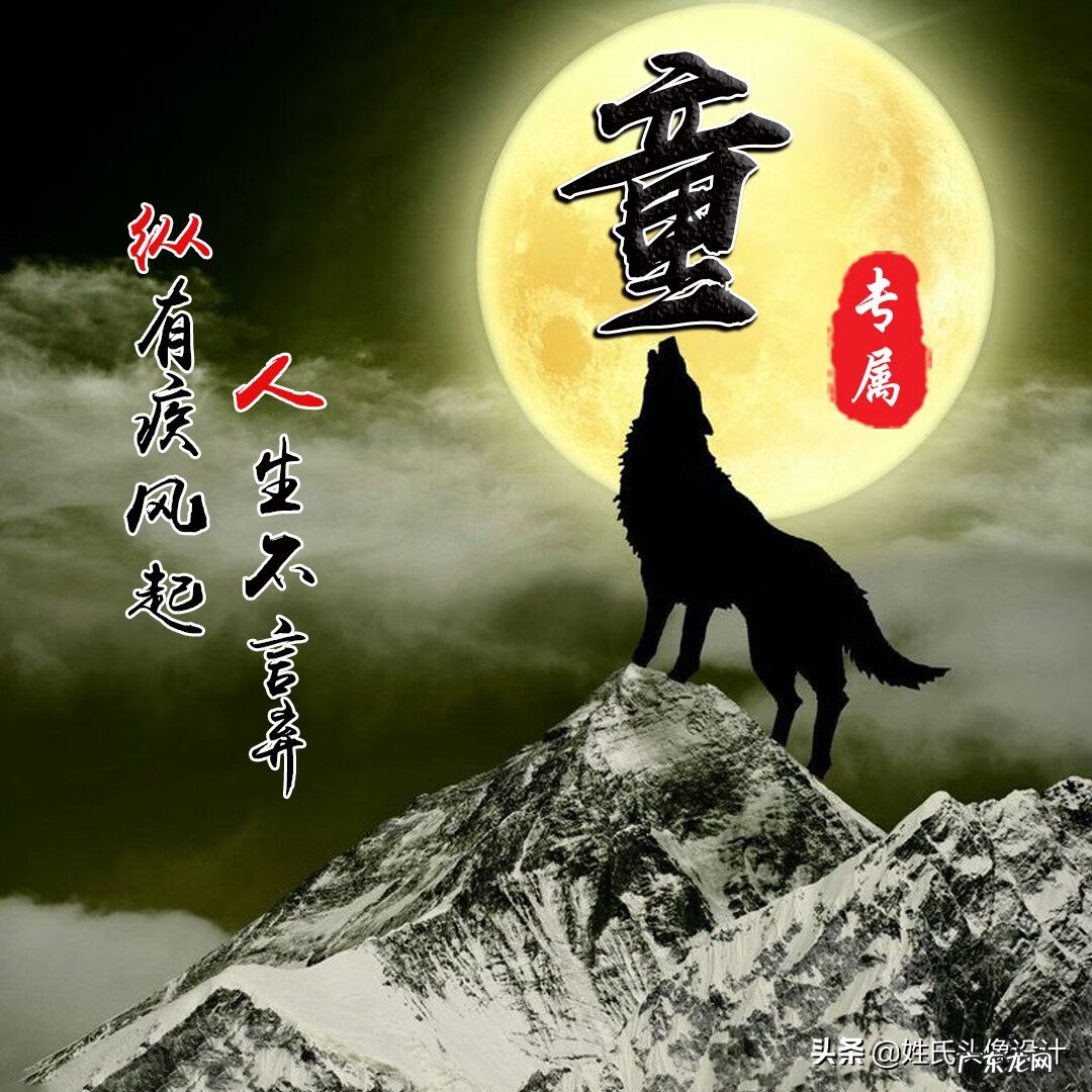 用狼做头像好吗