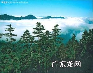 神农架是什么 神农顶在神农架的位置